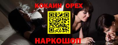 молекула духа Гатчина
