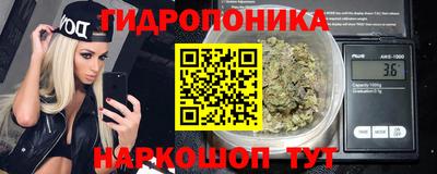 молекула духа Гатчина