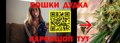 амф Гай